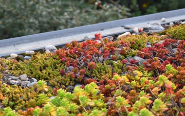 the cost of Dunstan green roof installation