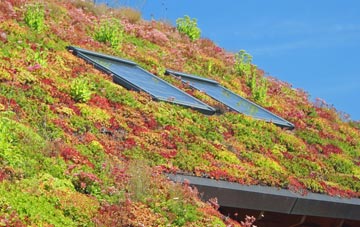 Dunstan living roof systems