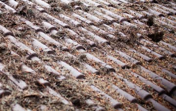 Dunstan roof cleaning companies