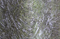 Dunstan fibreglass roof work