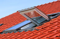 Dunstan roof window