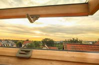 rated Dunstan roof window companies